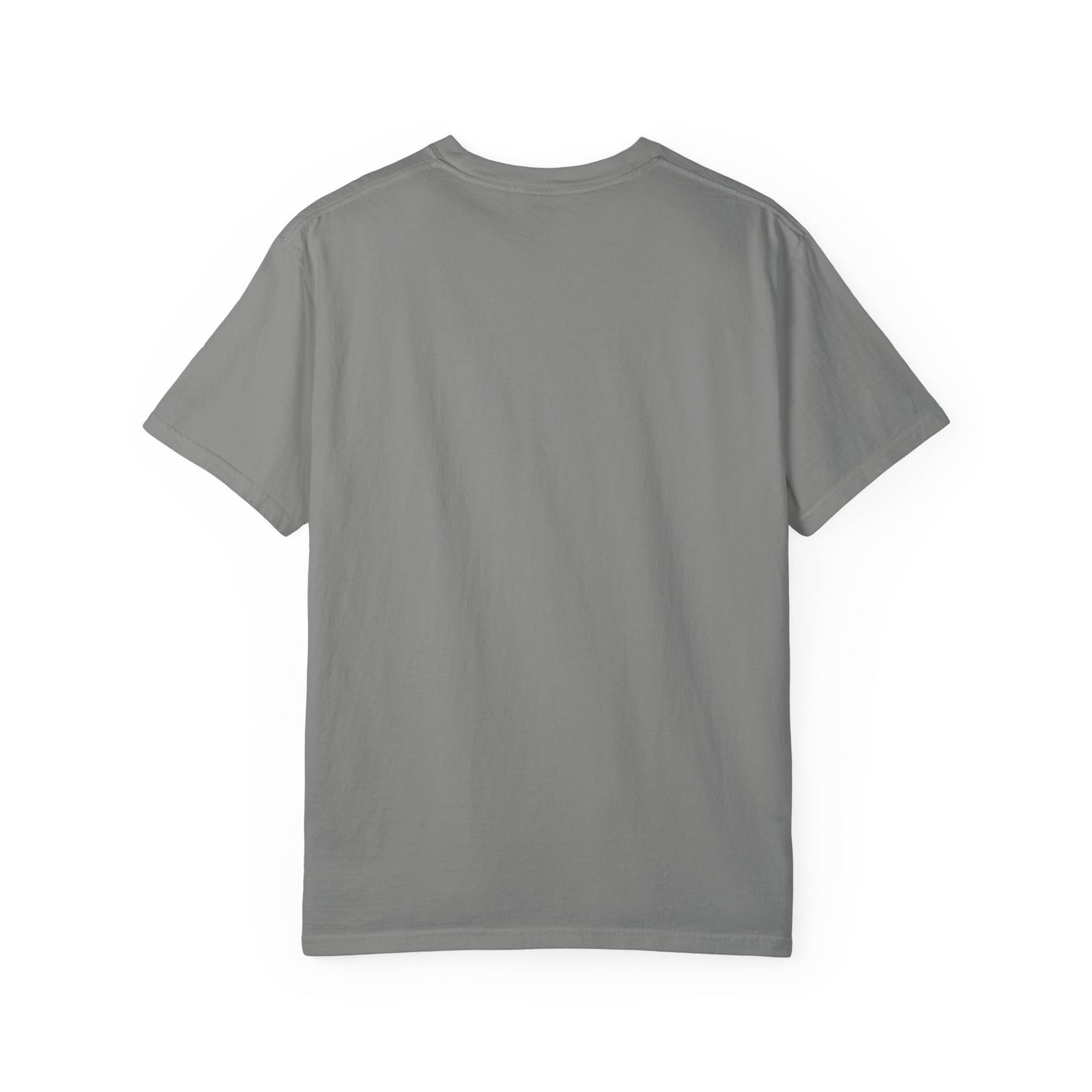 Planning & Plotting Dragon Motivational Unisex Graphic Tshirt, Ideal Gift for Fantasy Fans, Casual Wear, Book Lovers