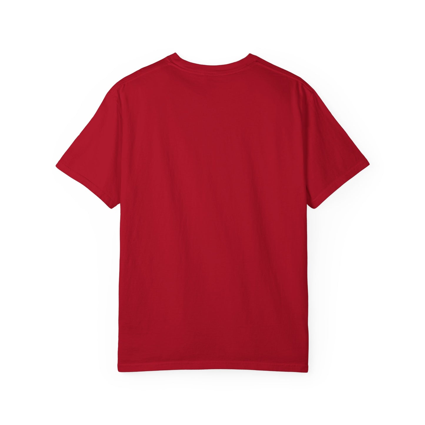 Planning & Plotting Dragon Motivational Unisex Graphic Tshirt, Ideal Gift for Fantasy Fans, Casual Wear, Book Lovers