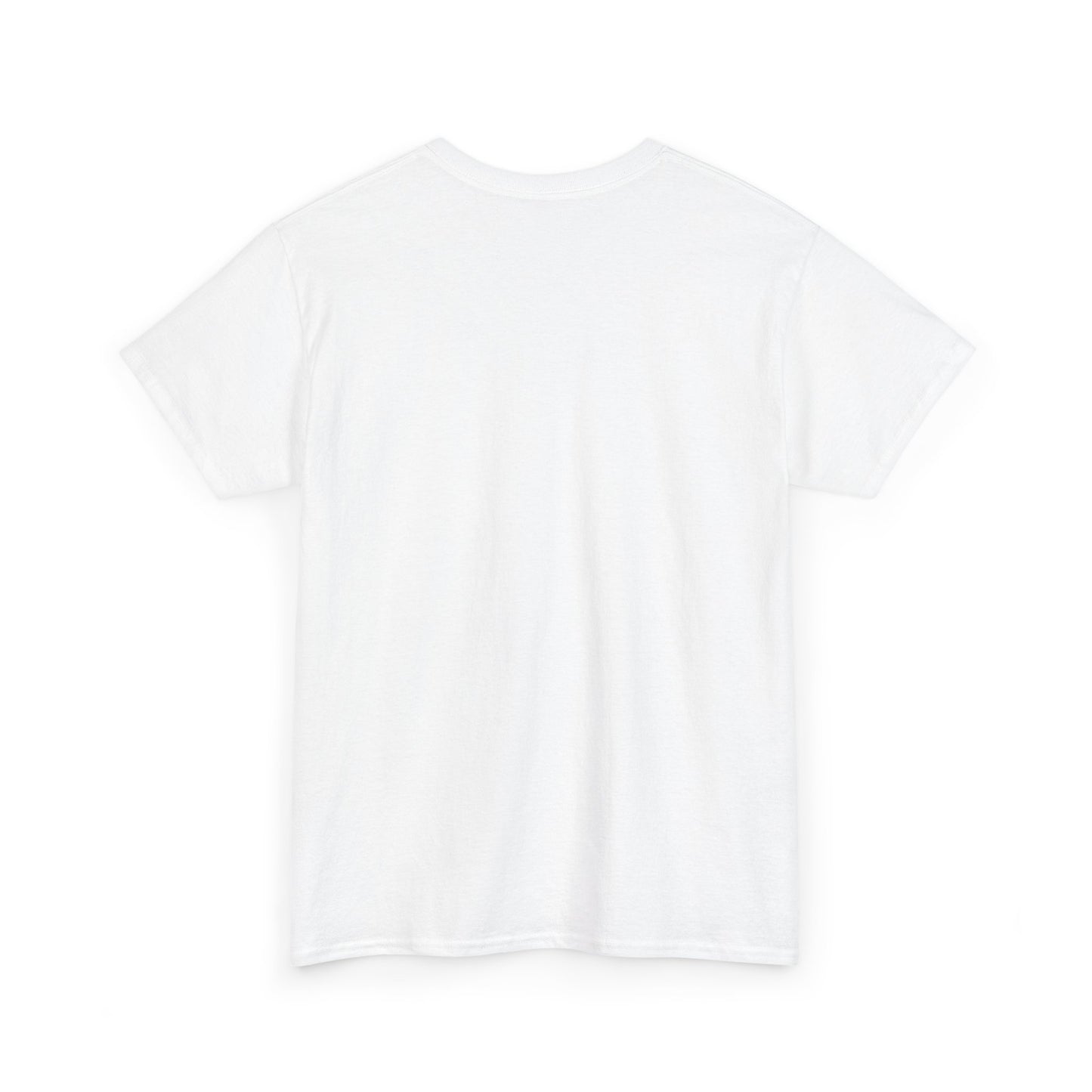 Advice Me Graphic Tee - Motivational Shirt, Casual Wear, Gift for Friends, Everyday Fashion, Unique Graphic T-Shirt