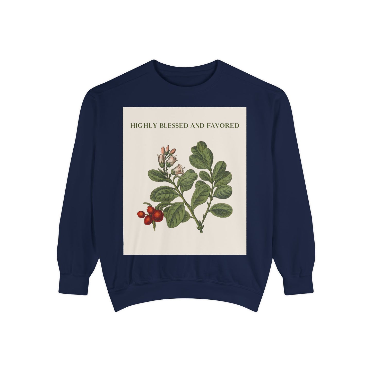 Self Love Quote Garment-Dyed Sweatshirt - Highly Blessed and Favored, Unisex Sweatshirt, Inspirational Jumper, Positive Vibes Pullover,