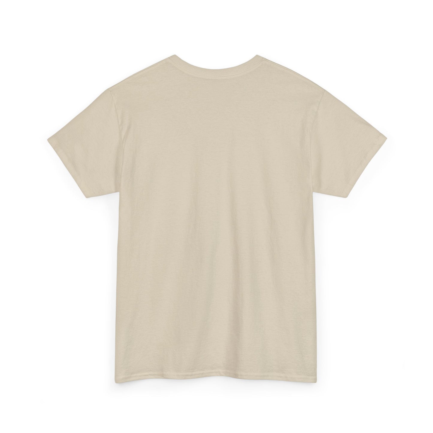 Advice Me Graphic Tee - Motivational Shirt, Casual Wear, Gift for Friends, Everyday Fashion, Unique Graphic T-Shirt