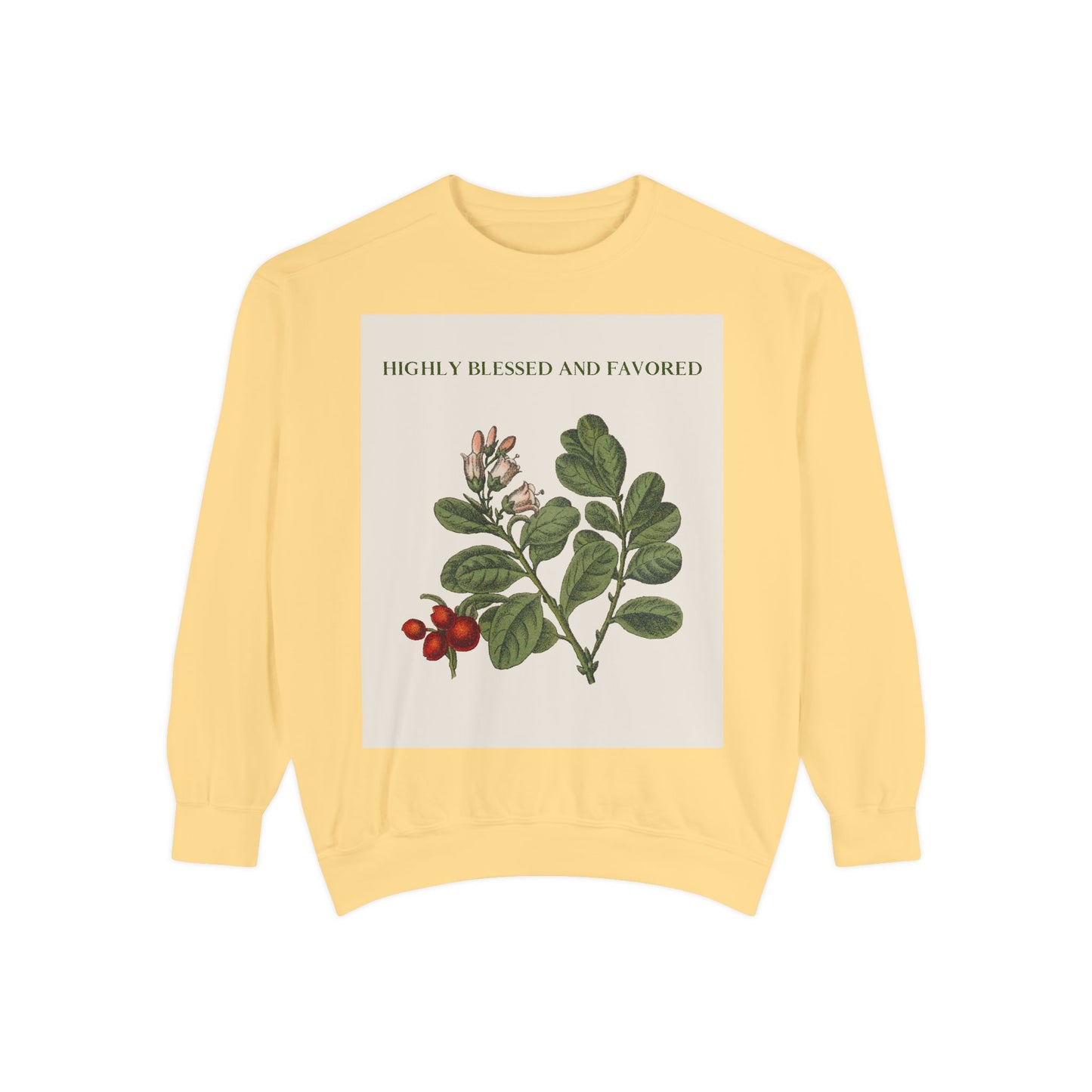 Self Love Quote Garment-Dyed Sweatshirt - Highly Blessed and Favored, Unisex Sweatshirt, Inspirational Jumper, Positive Vibes Pullover,