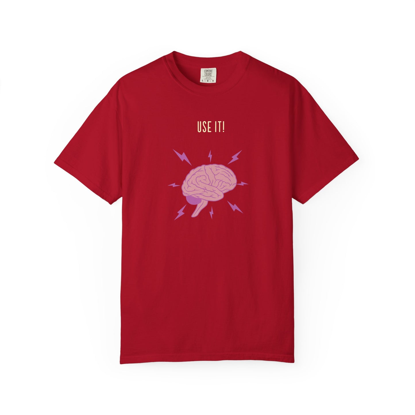 Funny Quote "Use It" Unisex Garment-Dyed T-shirt, Brain Image Tee, Humorous Graphic Top, Quote Tee, Unisex Shirt for Men Women