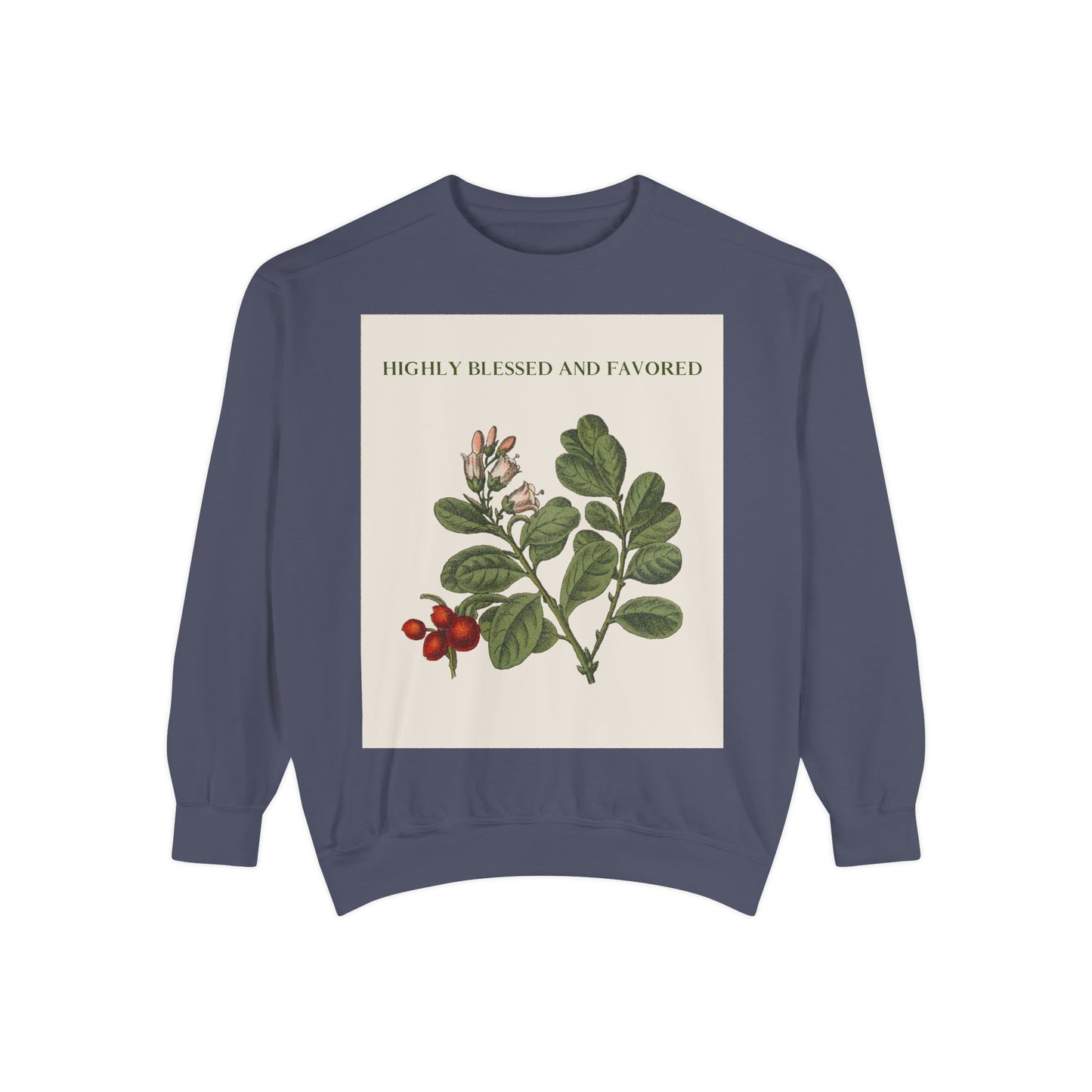 Self Love Quote Garment-Dyed Sweatshirt - Highly Blessed and Favored, Unisex Sweatshirt, Inspirational Jumper, Positive Vibes Pullover,