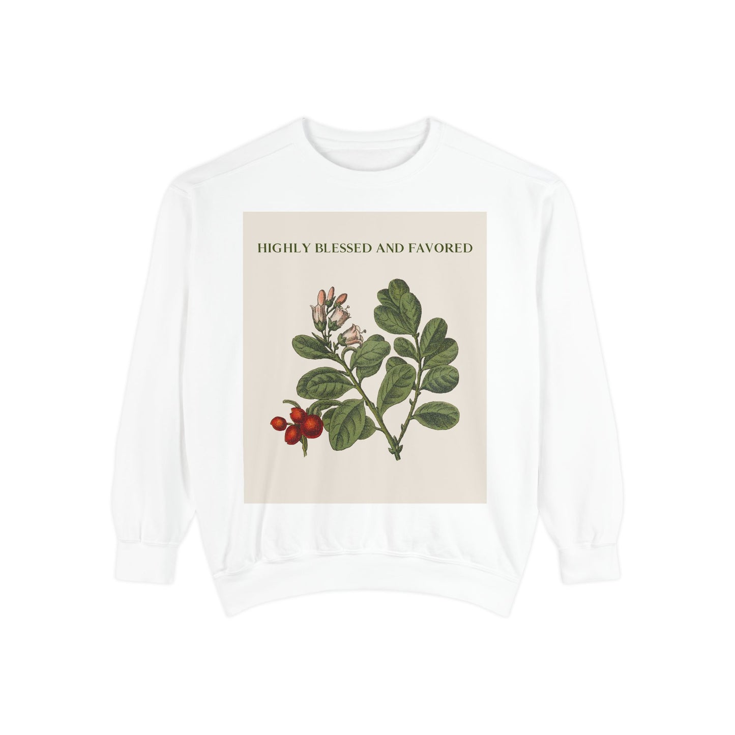 Self Love Quote Garment-Dyed Sweatshirt - Highly Blessed and Favored, Unisex Sweatshirt, Inspirational Jumper, Positive Vibes Pullover,