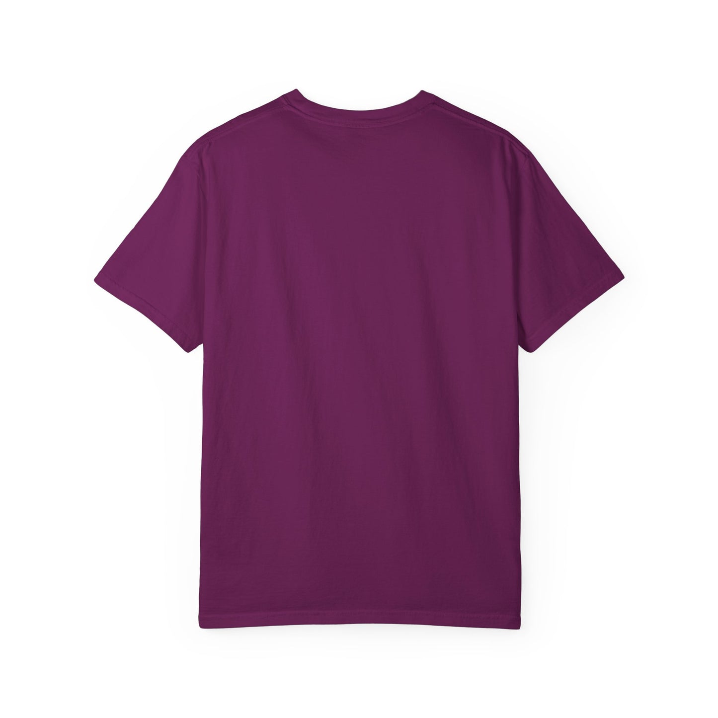 Planning & Plotting Dragon Motivational  Unisex Graphic Tshirt, Ideal Gift for Fantasy Fans, Casual Wear, Book Lovers
