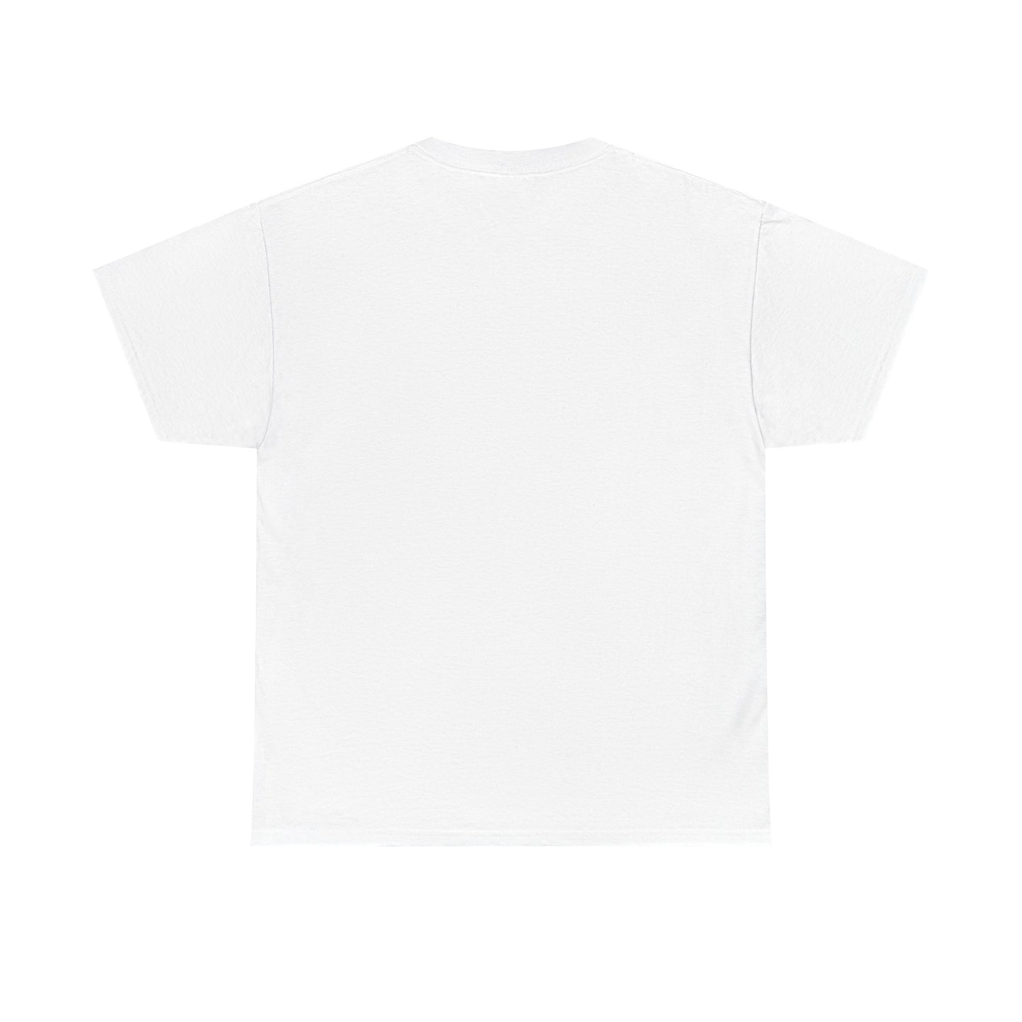 Advice Me Graphic Tee - Motivational Shirt, Casual Wear, Gift for Friends, Everyday Fashion, Unique Graphic T-Shirt
